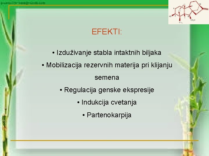 EFEKTI: • Izduživanje stabla intaktnih biljaka • Mobilizacija rezervnih materija pri klijanju semena •