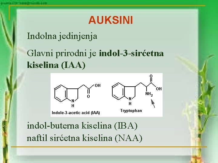 AUKSINI Indolna jedinjenja Glavni prirodni je indol-3 -sirćetna kiselina (IAA) indol-buterna kiselina (IBA) naftil