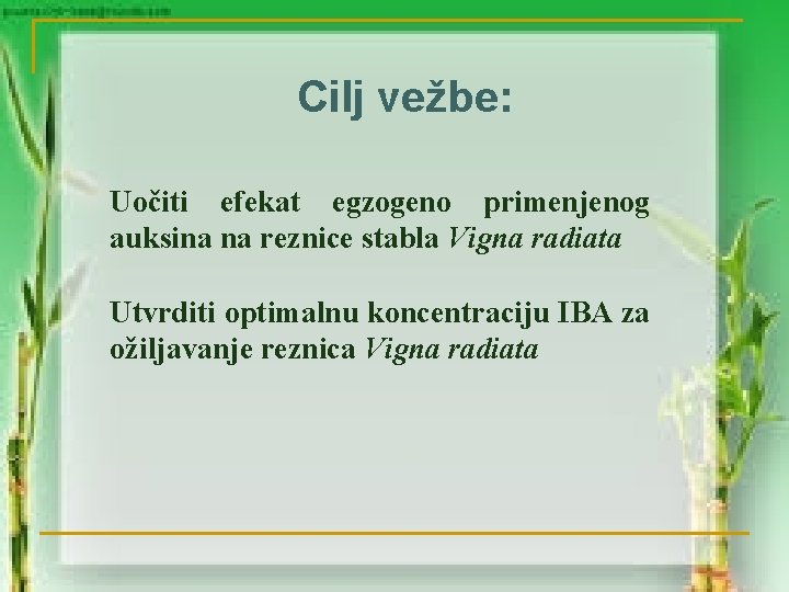 Cilj vežbe: Uočiti efekat egzogeno primenjenog auksina na reznice stabla Vigna radiata Utvrditi optimalnu