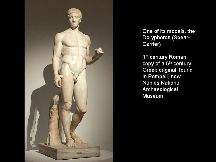 One of its models, the Doryphoros (Spear. Carrier) 1 st century Roman copy of