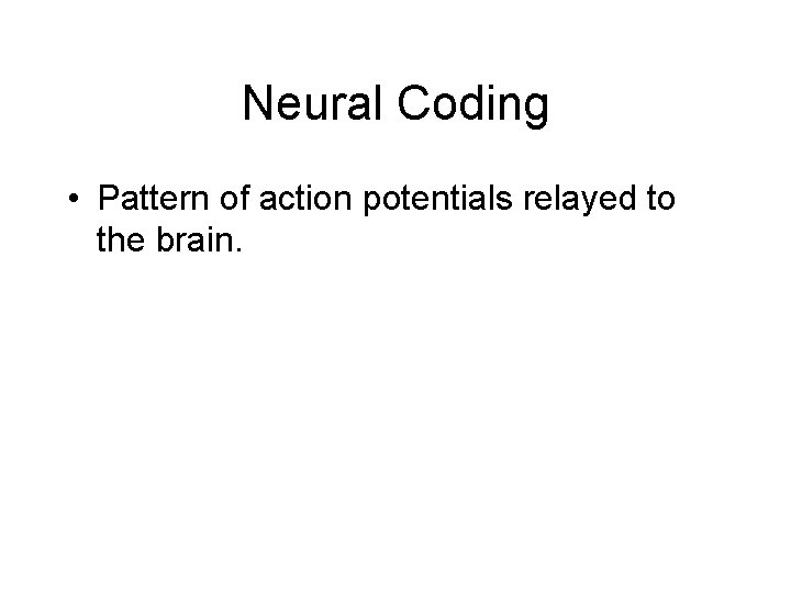Neural Coding • Pattern of action potentials relayed to the brain. 
