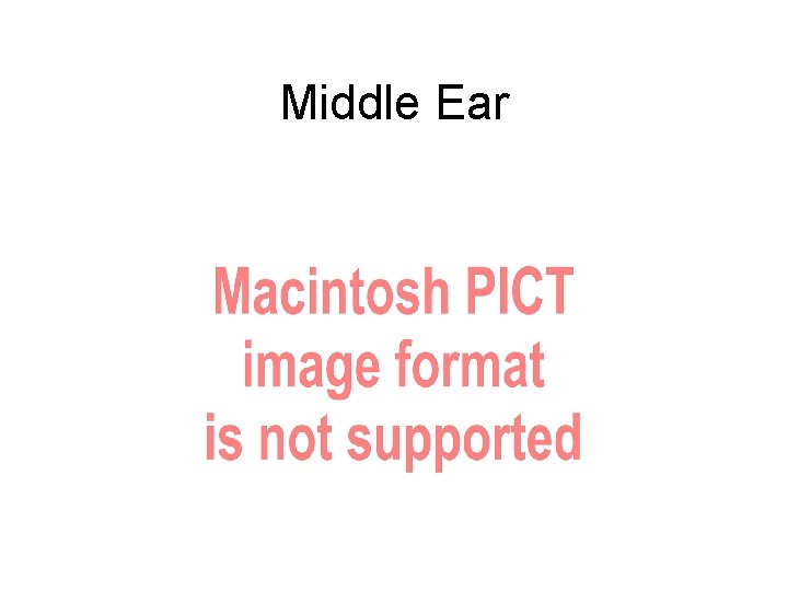Middle Ear 