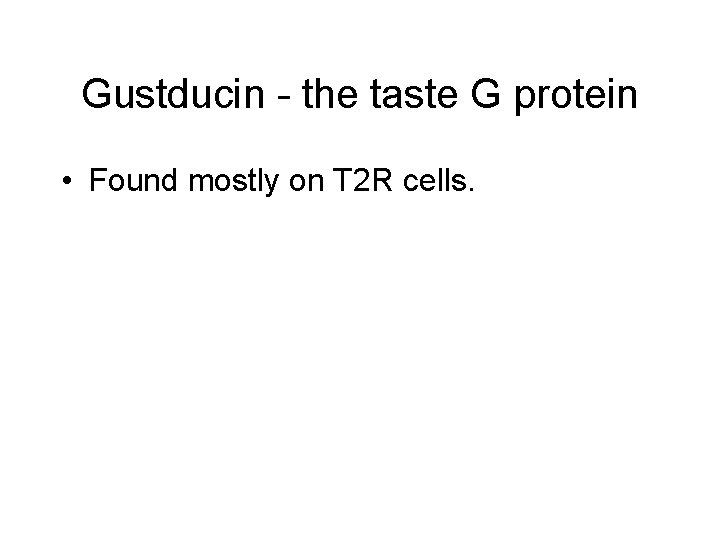 Gustducin - the taste G protein • Found mostly on T 2 R cells.