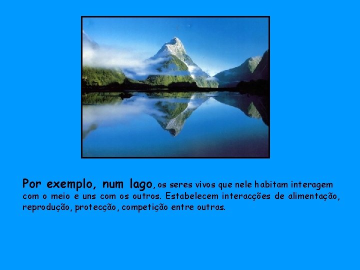 Por exemplo, num lago, os seres vivos que nele habitam interagem com o meio