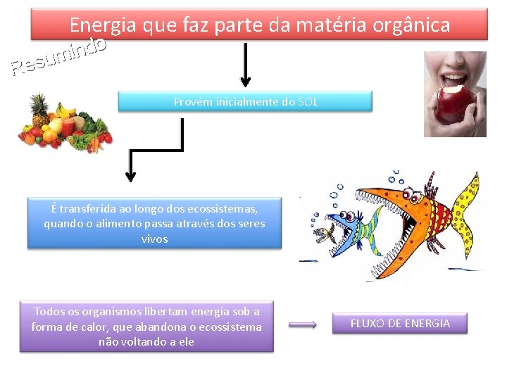 Energia que faz parte da matéria orgânica o d n i m u s