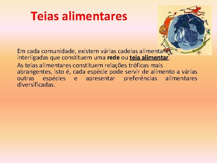 Teias alimentares Em cada comunidade, existem várias cadeias alimentares interligadas que constituem uma rede