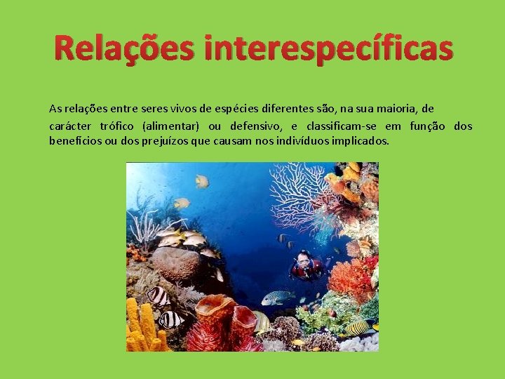 Relações interespecíficas As relações entre seres vivos de espécies diferentes são, na sua maioria,