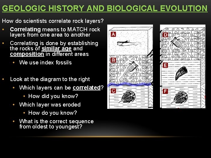 GEOLOGIC HISTORY AND BIOLOGICAL EVOLUTION How do scientists correlate rock layers? • Correlating means