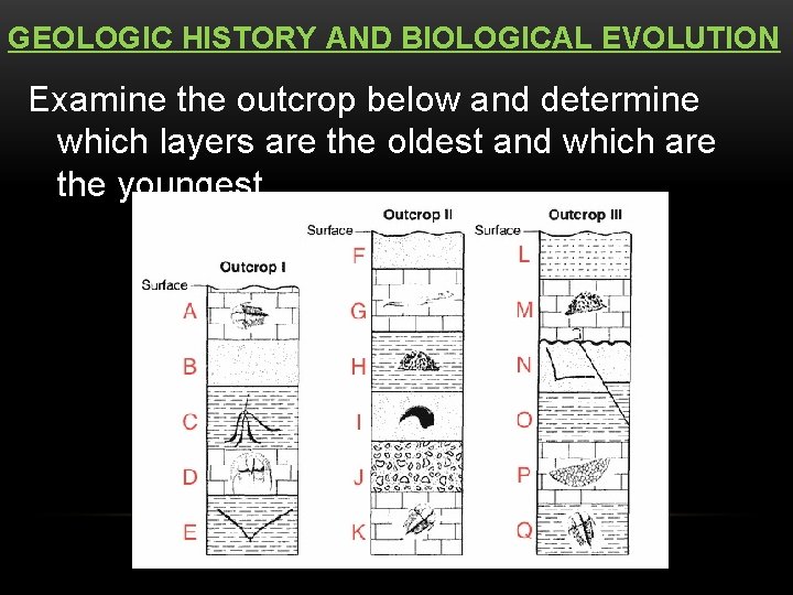 GEOLOGIC HISTORY AND BIOLOGICAL EVOLUTION Examine the outcrop below and determine which layers are
