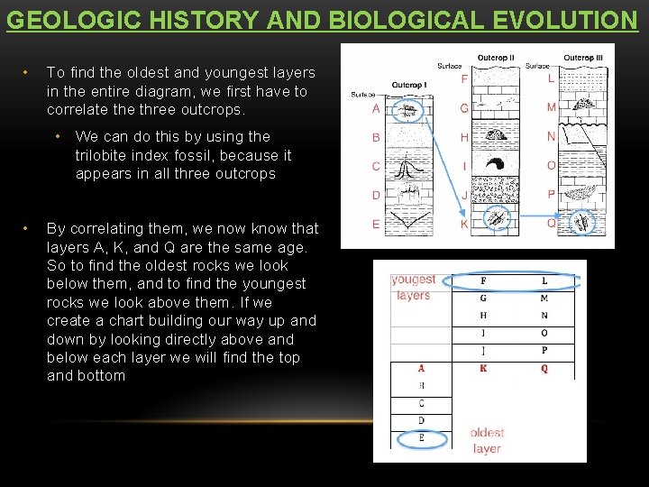GEOLOGIC HISTORY AND BIOLOGICAL EVOLUTION • To find the oldest and youngest layers in