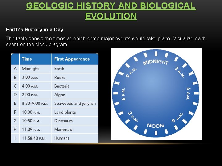 GEOLOGIC HISTORY AND BIOLOGICAL EVOLUTION Earth's History in a Day The table shows the