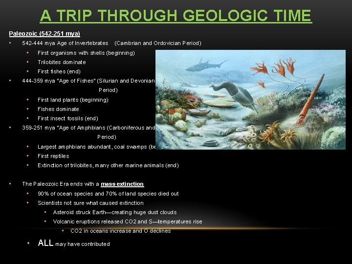 A TRIP THROUGH GEOLOGIC TIME Paleozoic (542 -251 mya) • • 542 -444 mya