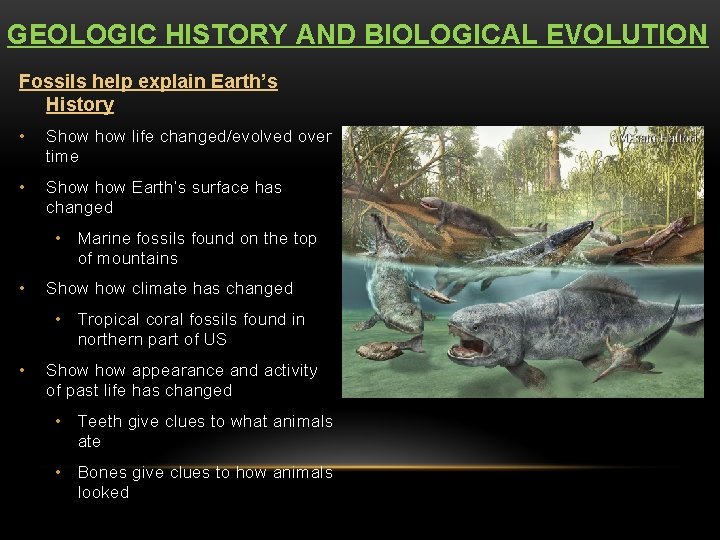 GEOLOGIC HISTORY AND BIOLOGICAL EVOLUTION Fossils help explain Earth’s History • Show life changed/evolved