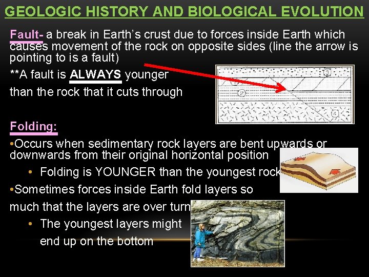 GEOLOGIC HISTORY AND BIOLOGICAL EVOLUTION Fault- a break in Earth’s crust due to forces