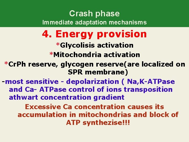 Crash phase Immediate adaptation mechanisms 4. Energy provision *Glycolisis activation *Mitochondria activation *Cr. Ph