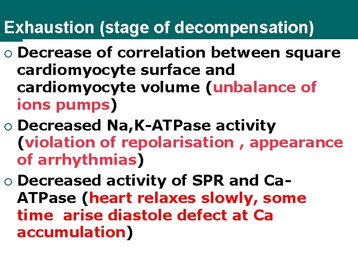 Exhaustion (stage of decompensation) Decrease of correlation between square cardiomyocyte surface and cardiomyocyte volume