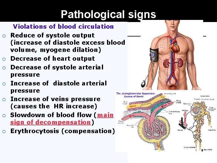 Pathological signs ¡ ¡ ¡ ¡ Violations of blood circulation Reduce of systole output