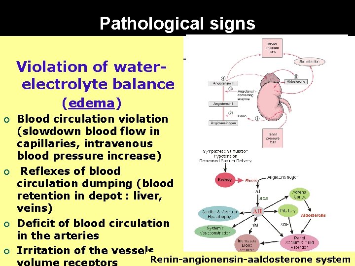 Pathological signs Violation of waterelectrolyte balance (edema) ¡ ¡ Blood circulation violation (slowdown blood