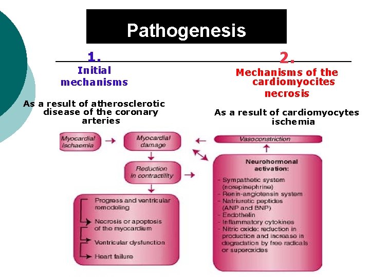 Pathogenesis 1. Initial mechanisms As a result of atherosclerotic disease of the coronary arteries