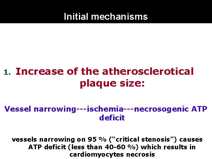 Initial mechanisms 1. Increase of the atherosclerotical plaque size: Vessel narrowing---ischemia---necrosogenic ATP deficit vessels