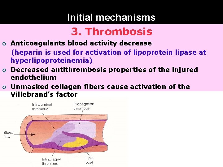 Initial mechanisms 3. Thrombosis ¡ ¡ ¡ Anticoagulants blood activity decrease (heparin is used