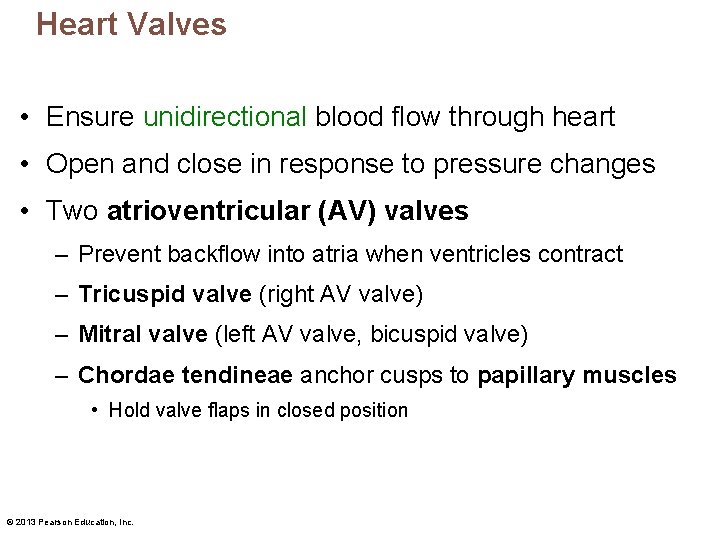 Heart Valves • Ensure unidirectional blood flow through heart • Open and close in