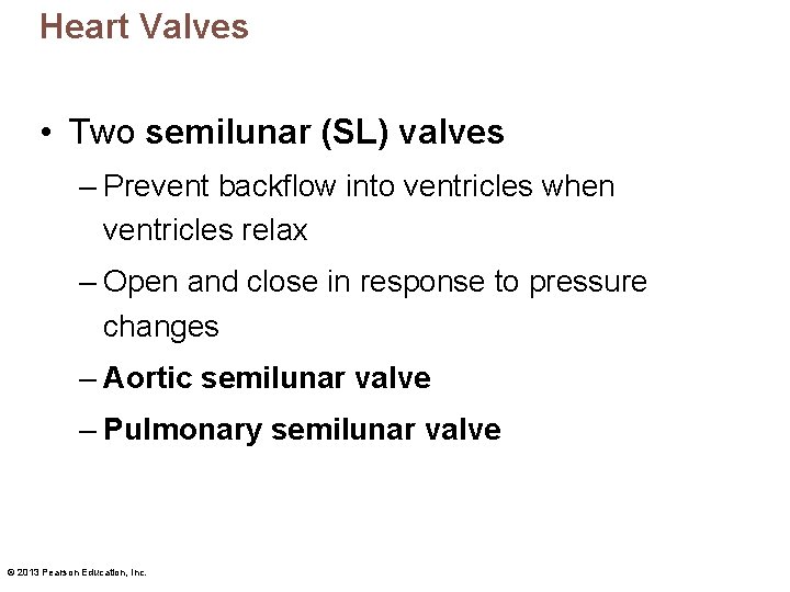 Heart Valves • Two semilunar (SL) valves – Prevent backflow into ventricles when ventricles