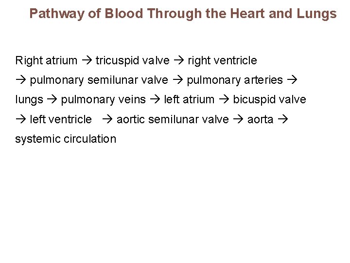 Pathway of Blood Through the Heart and Lungs Right atrium tricuspid valve right ventricle