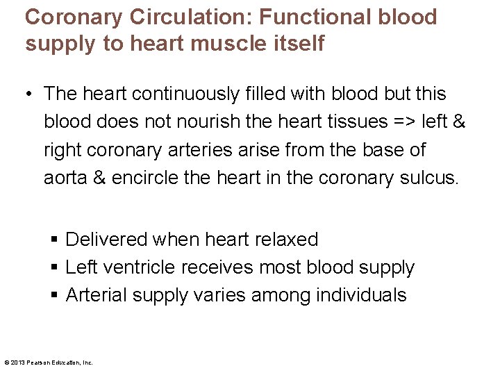 Coronary Circulation: Functional blood supply to heart muscle itself • The heart continuously filled