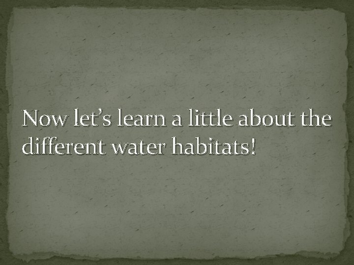 Now let’s learn a little about the different water habitats! 