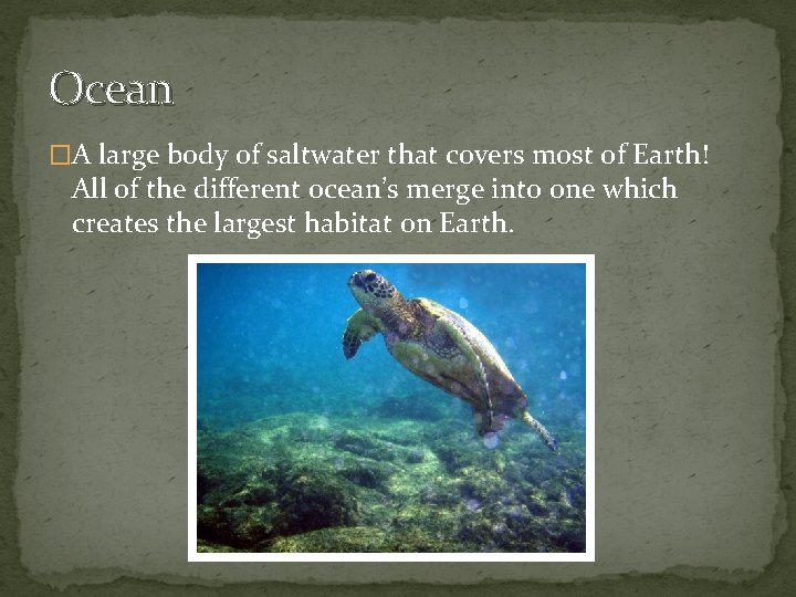 Ocean �A large body of saltwater that covers most of Earth! All of the