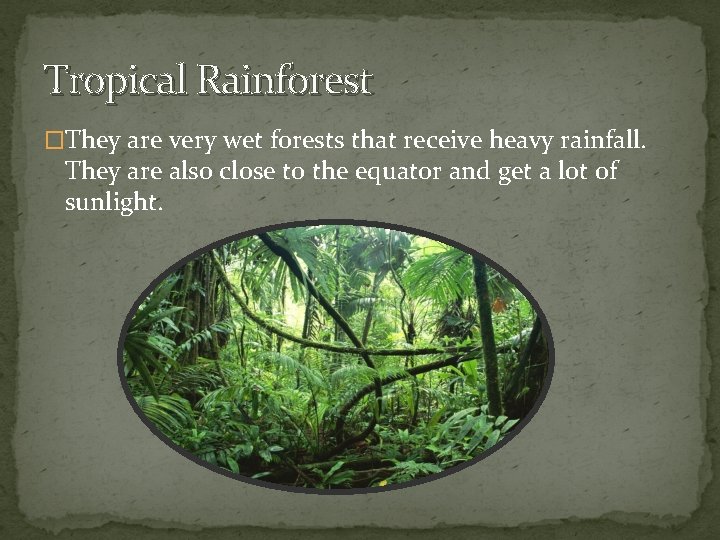Tropical Rainforest �They are very wet forests that receive heavy rainfall. They are also