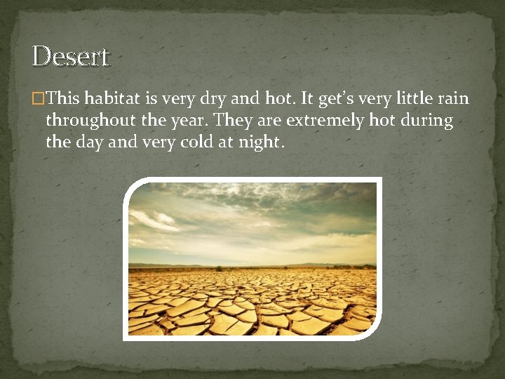 Desert �This habitat is very dry and hot. It get’s very little rain throughout
