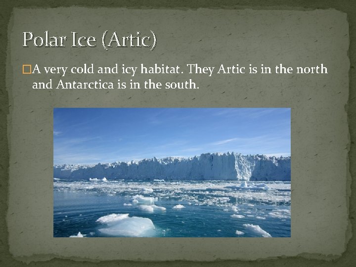 Polar Ice (Artic) �A very cold and icy habitat. They Artic is in the