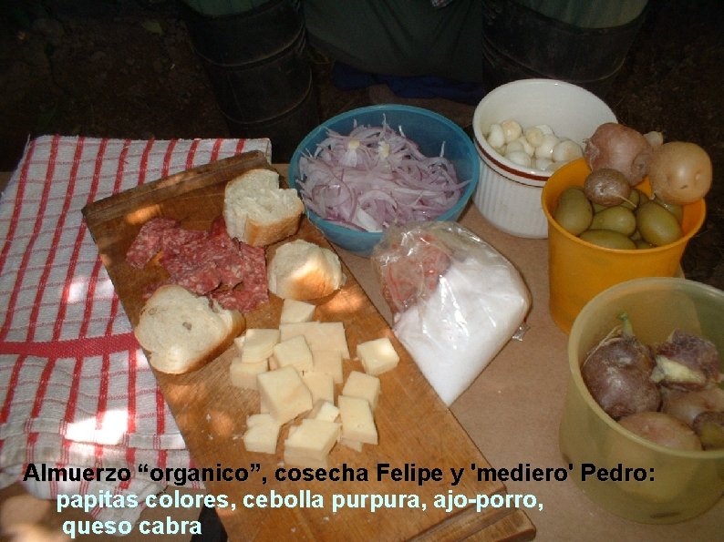 Almuerzo “organico”, cosecha Felipe y 'mediero' Pedro: papitas colores, cebolla purpura, ajo-porro, queso cabra