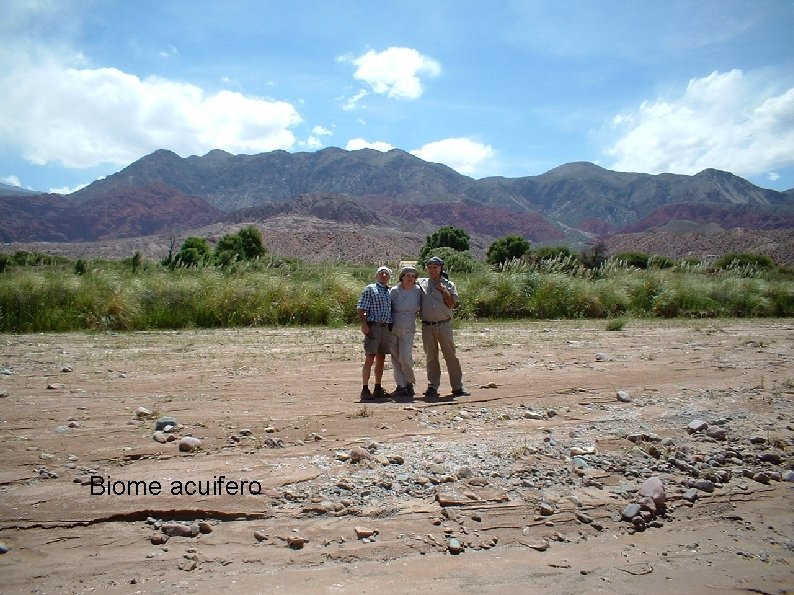 Biome acuifero 