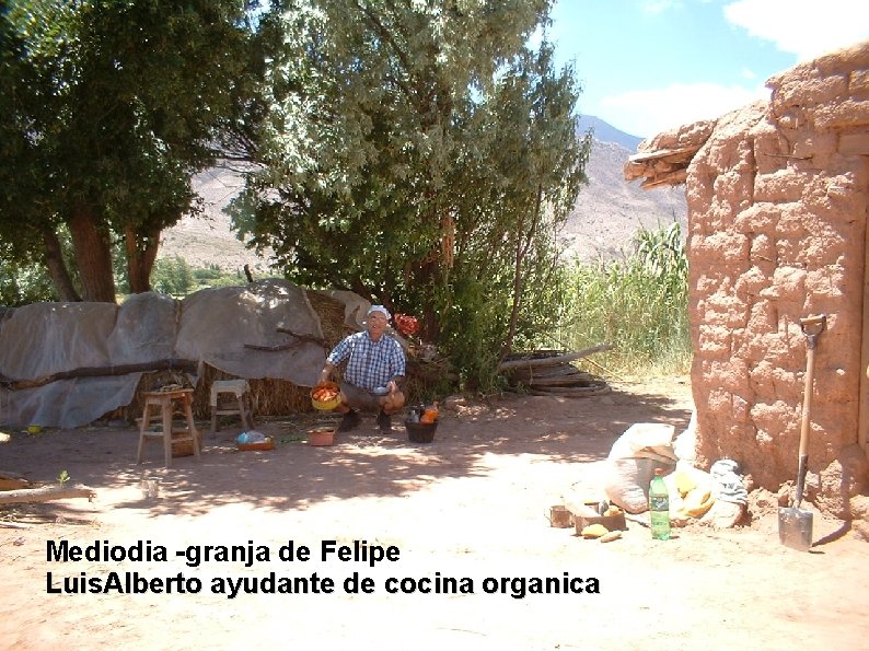 Mediodia -granja de Felipe Luis. Alberto ayudante de cocina organica 