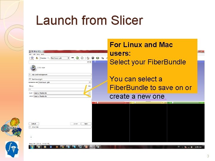 Launch from Slicer For Linux and Mac users: Select your Fiber. Bundle You can