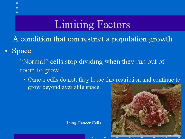 Limiting Factors A condition that can restrict a population growth • Space – “Normal”