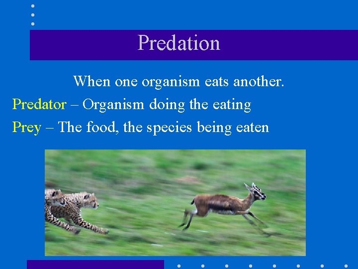Predation When one organism eats another. Predator – Organism doing the eating Prey –