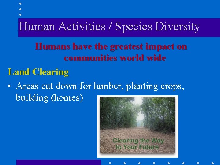 Human Activities / Species Diversity Humans have the greatest impact on communities world wide