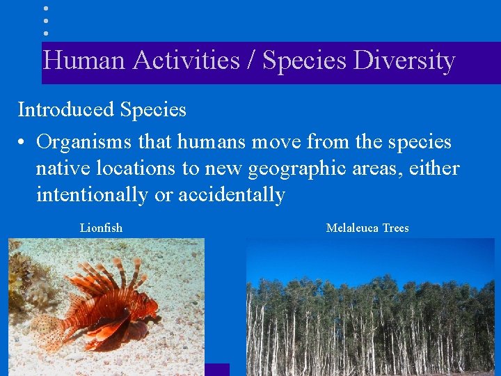 Human Activities / Species Diversity Introduced Species • Organisms that humans move from the