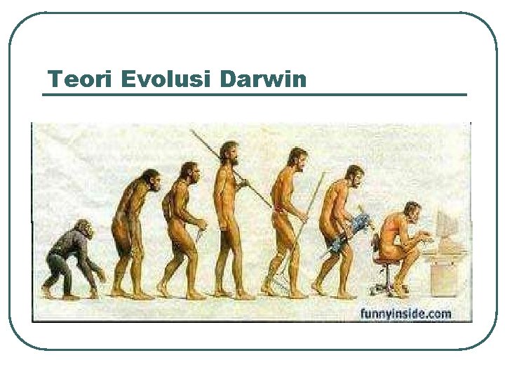 Teori Evolusi Darwin 