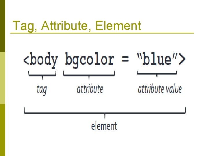 Tag, Attribute, Element 