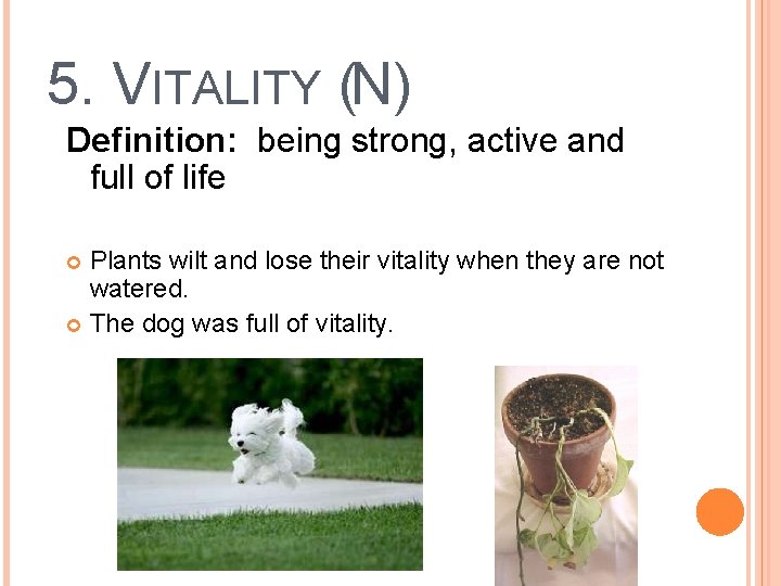 5. VITALITY (N) Definition: being strong, active and full of life Plants wilt and