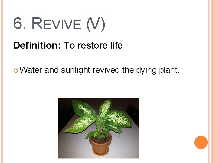 6. REVIVE (V) Definition: To restore life Water and sunlight revived the dying plant.