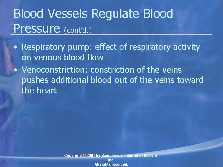 Chapter 19 Functions of the Blood Vessels Lesson
