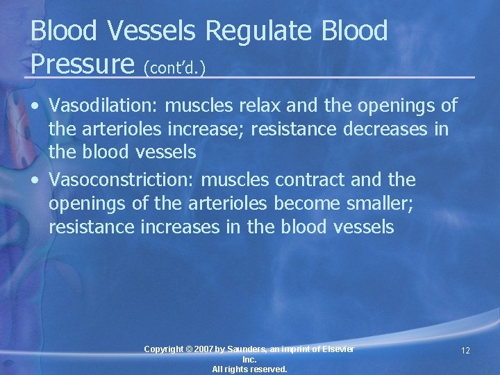 Chapter 19 Functions of the Blood Vessels Lesson