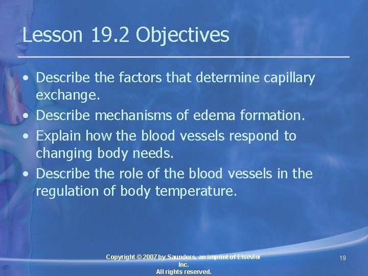 Lesson 19. 2 Objectives • Describe the factors that determine capillary exchange. • Describe