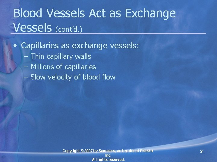 Blood Vessels Act as Exchange Vessels (cont’d. ) • Capillaries as exchange vessels: –